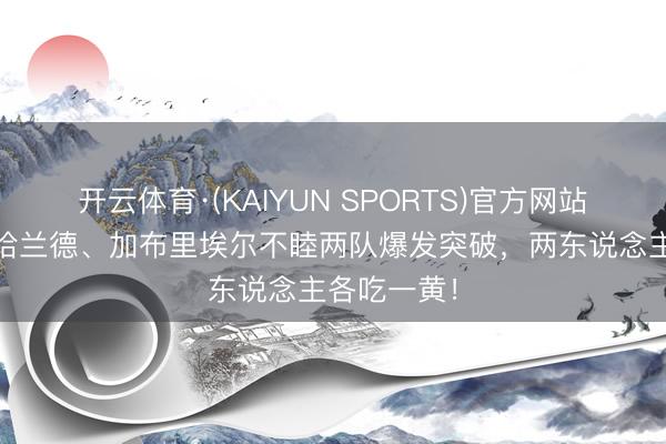 开云体育·(KAIYUN SPORTS)官方网站 杠上了！哈兰德、加布里埃尔不睦两队爆发突破，两东说念主各吃一黄！