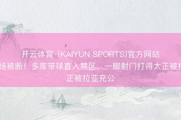 开云体育·(KAIYUN SPORTS)官方网站 埃泽后场被断！多库带球直入禁区，一脚射门打得太正被拉亚充公