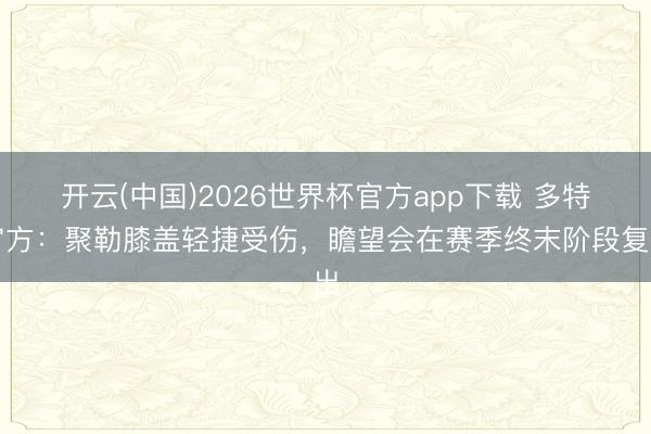 开云(中国)2026世界杯官方app下载 多特官方：聚勒膝盖轻捷受伤，瞻望会在赛季终末阶段复出