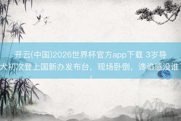 开云(中国)2026世界杯官方app下载 3岁导盲犬初次登上国新办发布台，现场卧倒，谗谄感没谁了！
