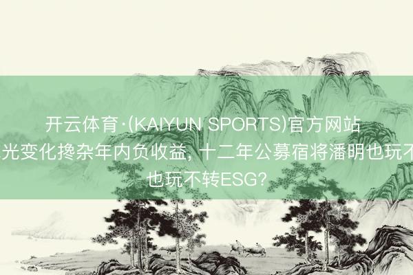 开云体育·(KAIYUN SPORTS)官方网站 国联安风光变化搀杂年内负收益， 十二年公募宿将潘明也玩不转ESG?